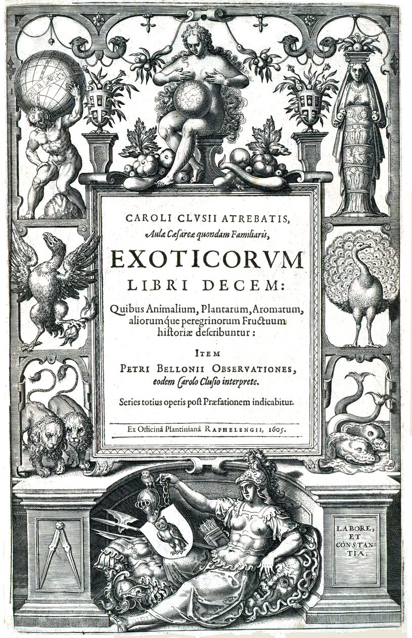 Exoticorum किताब द्वारा कैरोलस क्लूसियस