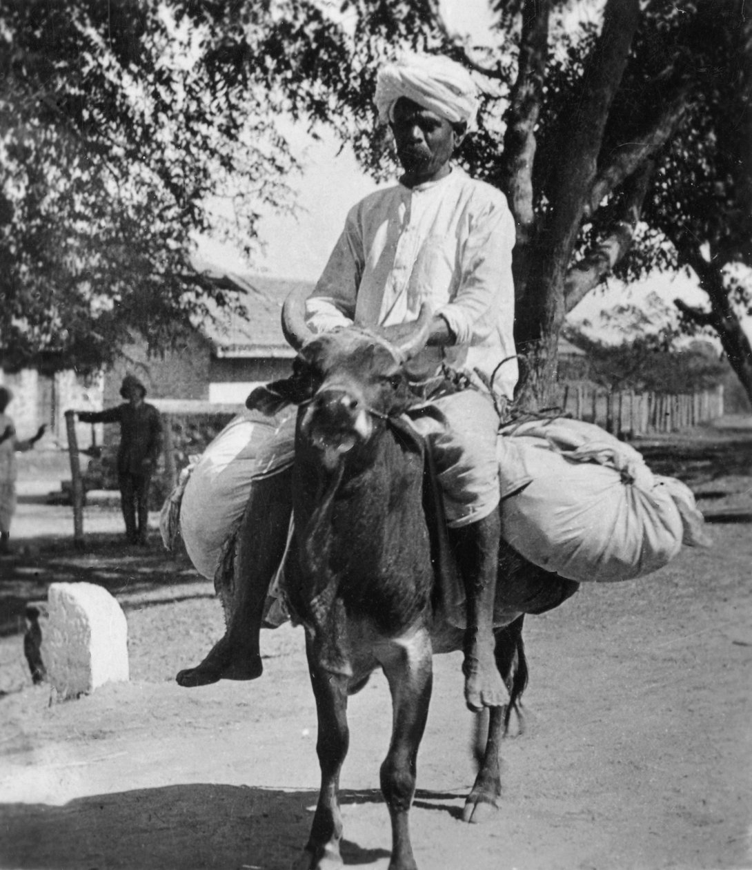 धोबी आदमी, भारत, 19वीं सदी के अंत या 20वीं सदी की शुरुआत में। द्वारा कैवंडर्स लिमिटेड