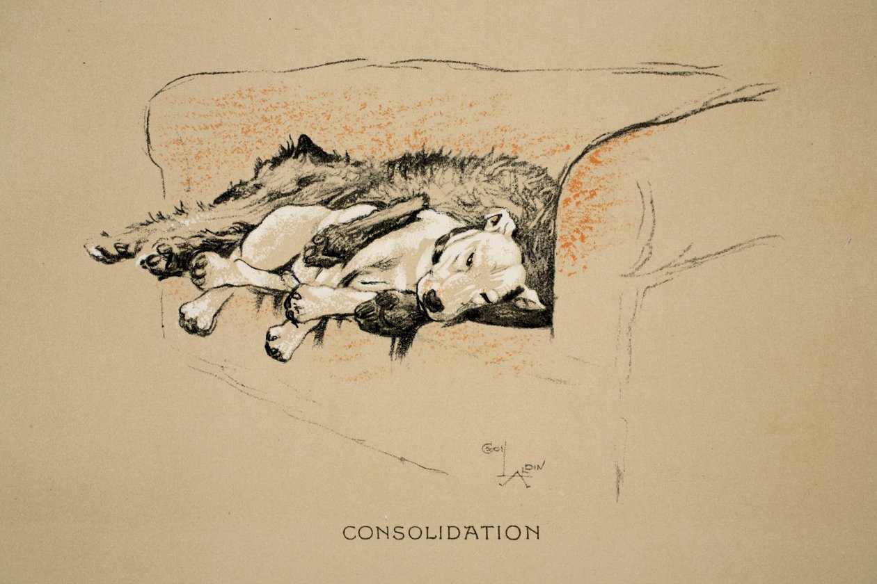 सांत्वना, 1930, &39;स्लीपिंग पार्टनर्स&39; का पहला संस्करण, एल्डिन, सेसिल चार्ल्स विंडसर (1870-1935), आईरे एंड स्पोटिसवूड लिमिटेड द्वारा प्रकाशित, चाक और चारकोल पेपर पर द्वारा सेसिल चार्ल्स विंडसर एल्डिन