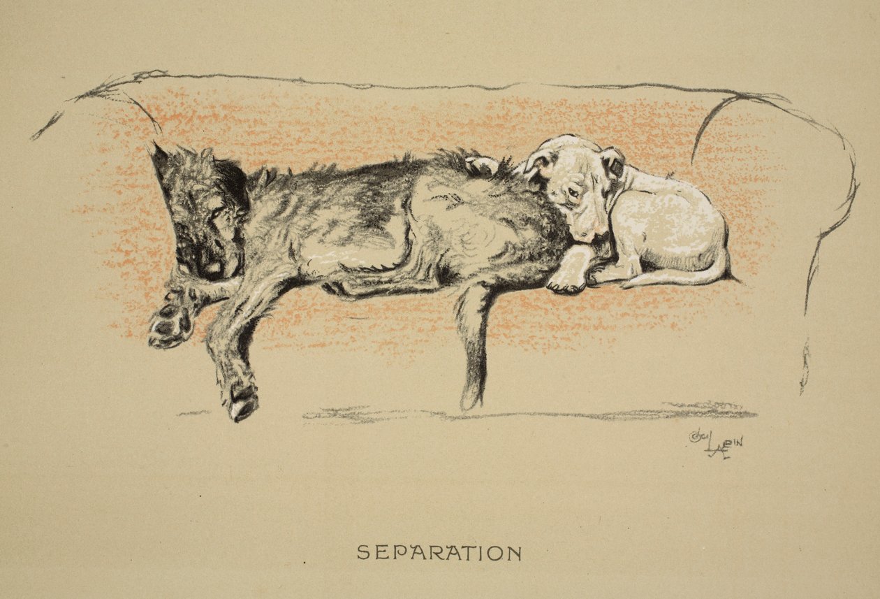 पृथक्करण, 1930, &39;स्लीपिंग पार्टनर्स&39; का पहला संस्करण, एल्डिन, सेसिल चार्ल्स विंडसर (1870-1935), आईरे एंड स्पोटिसवूड लिमिटेड द्वारा प्रकाशित, चाक और चारकोल द्वारा सेसिल चार्ल्स विंडसर एल्डिन