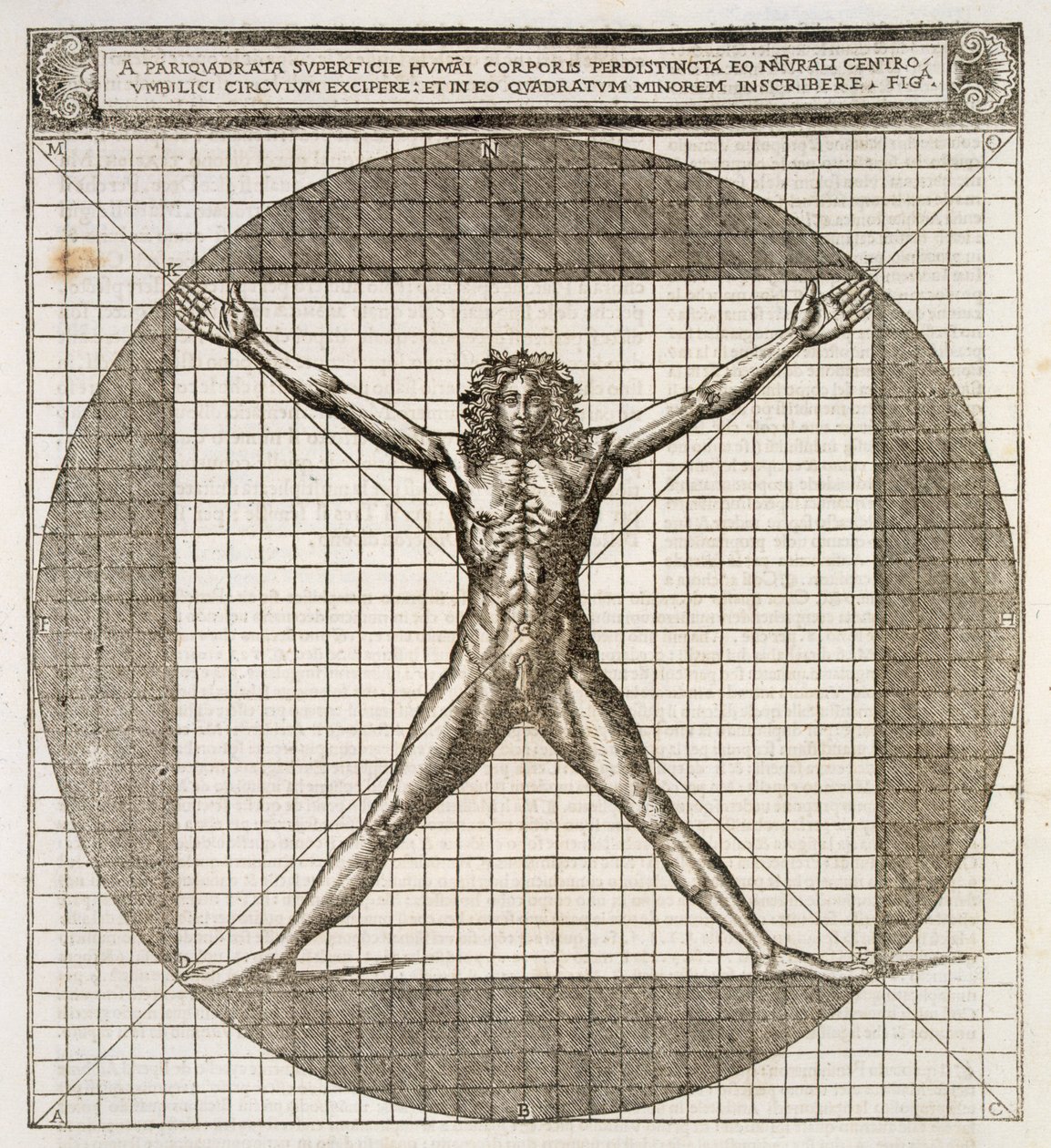 मार्कस विटरुवियस पोलियो द्वारा सेस सेरेसेरियनो, पबलीस द्वारा अनुवादित &39;वुल्गारे अभिमुर्ति में लैटिन के डी आर्किटेक्चर लीबरी डीस ट्रेकडी&39; से मानव शरीर पर आधारित आदर्श अनुपात का पता चलता है। द्वारा सेसरे दी लोरेंज़ो सेसरियनो