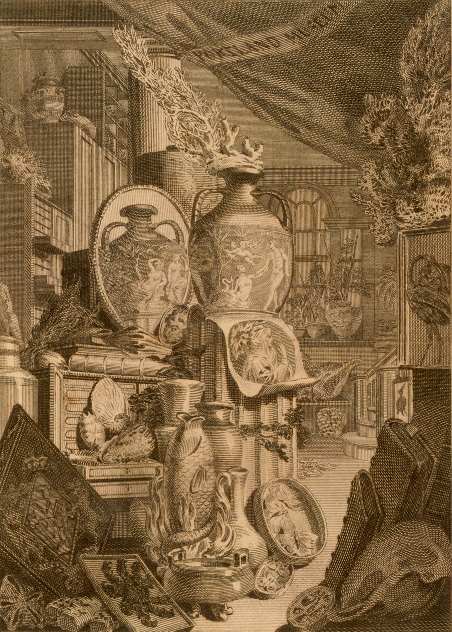 पोर्टलैंड संग्रहालय, 1786 द्वारा 