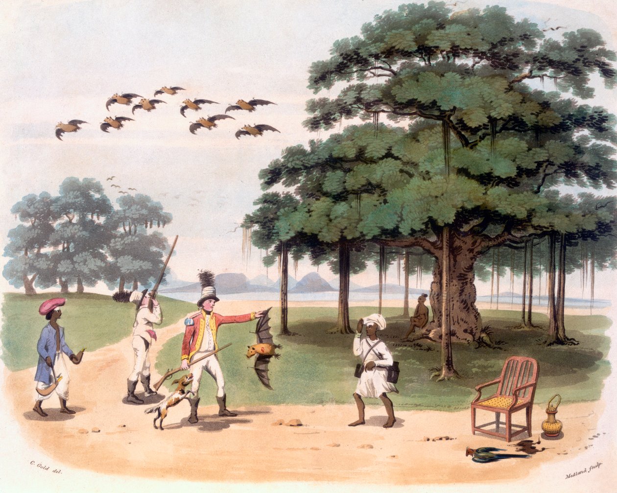 बैनट्री में फ्लाइंग फॉक्स, c.1791-98 (रंग जलीय) द्वारा चार्ल्स एमिलस गोल्ड