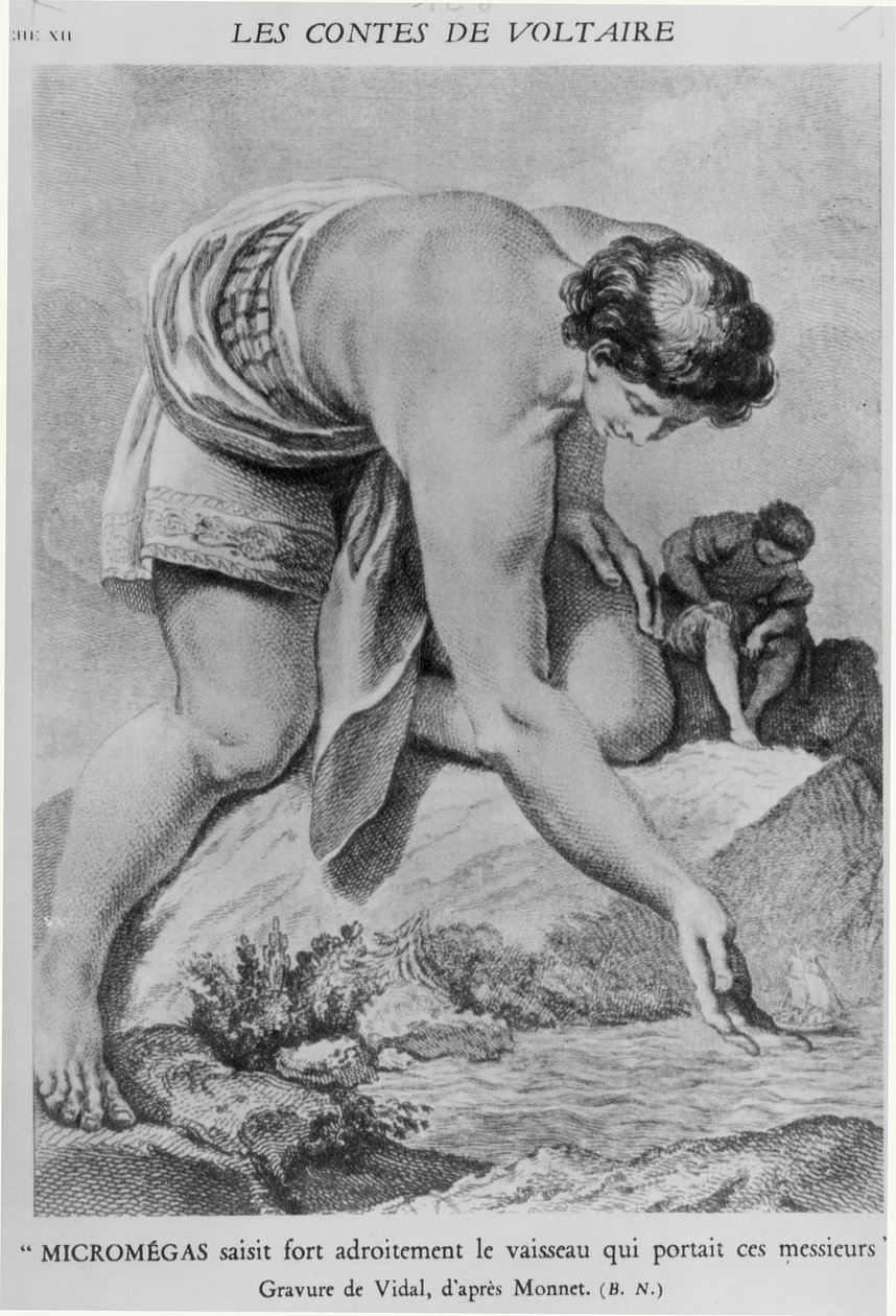 &39;माइक्रोडेगस ने कुशलतापूर्वक उस जहाज को चुना जो इन सज्जनों को ले जा रहा था&39;, फ्रांकोइस मैरी एरोएट डी वोल्टेयर (1694-1778) द्वारा गेर्ड विडाल (1742-1801) द्वारा उत्कीर्ण &39;लेस कॉन्स&39; द्वारा चार्ल्स मोनेट