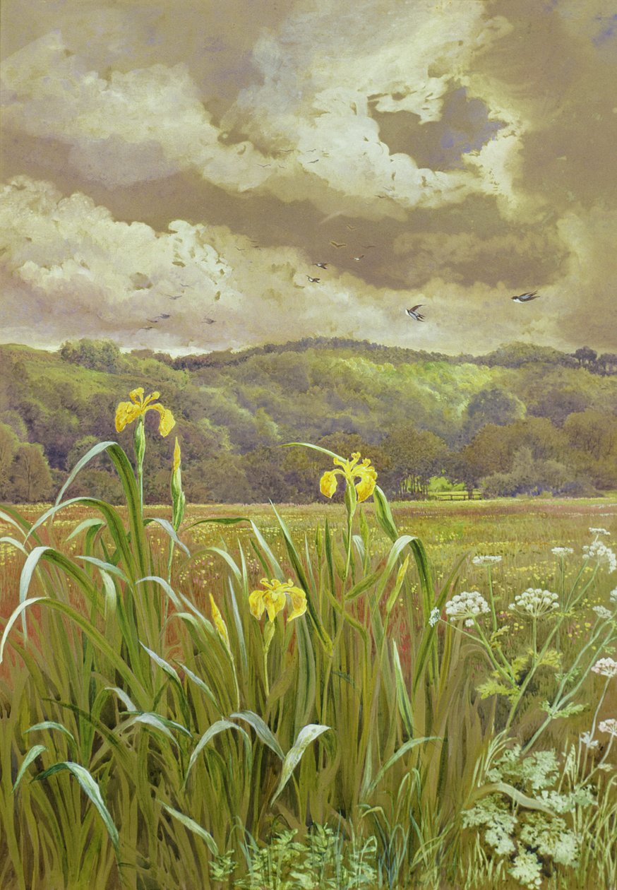 Irises और गाय अजमोद द्वारा चार्ल्स रॉबर्टसन