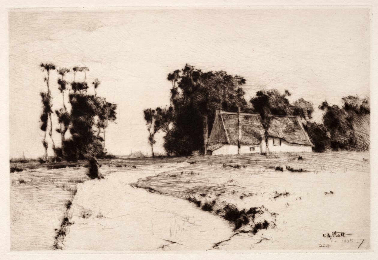 ब्रिटनी ट्रीज़, 1885-1887। द्वारा चार्ल्स एडम्स प्लाट