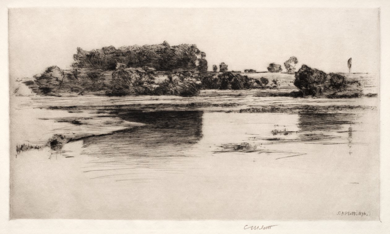 द चार्ल्स नदी, 1890। द्वारा चार्ल्स एडम्स प्लाट