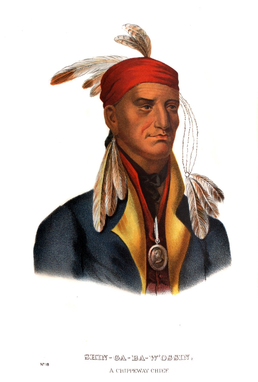 शिंगाबा डब्लू'ओसिन ('इमेज स्टोन'), एक चिप्पवे चीफ द्वारा चार्ल्स बर्ड किंग