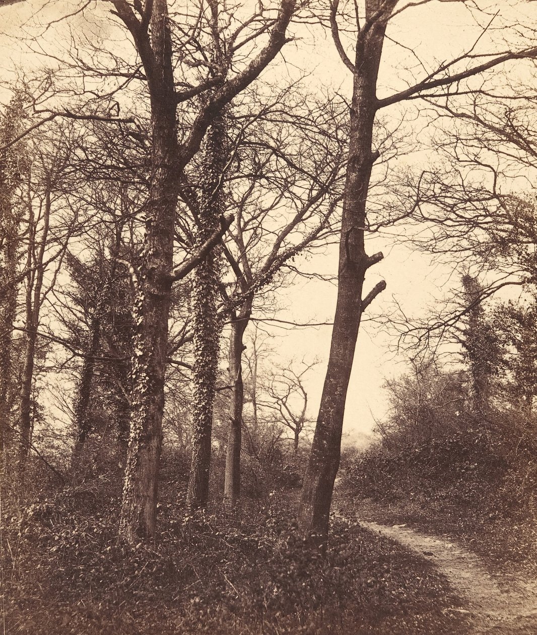 विंटर, 1855। द्वारा चार्ल्स कॉनवे