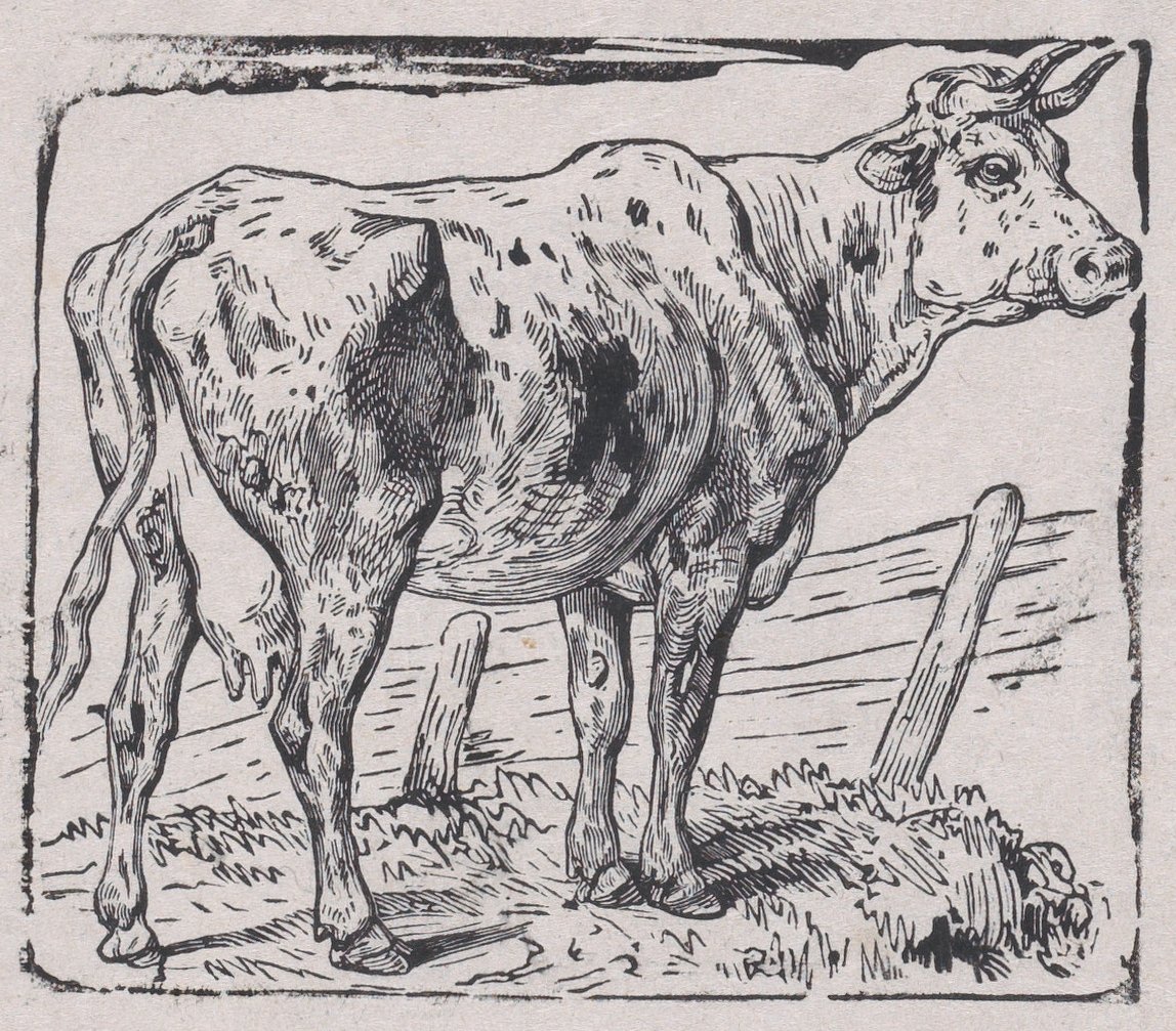 एक गाय, सीए। 1853. द्वारा चार्ल्स एमिले जेक