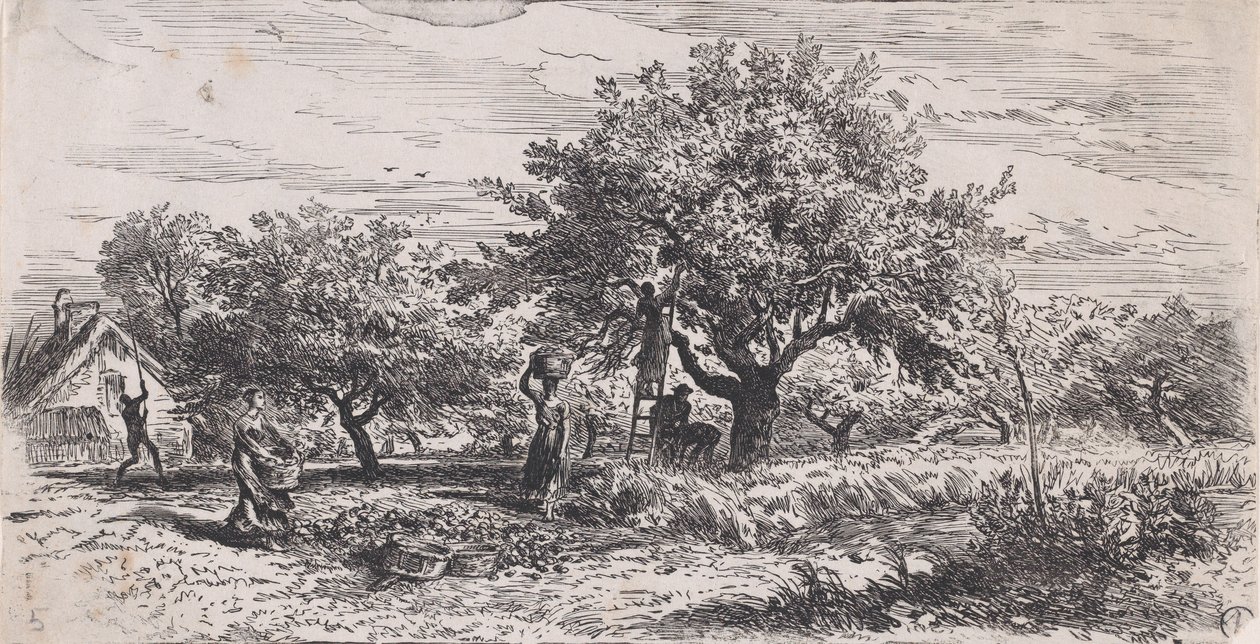 कुटीर के बाहर पेड़ से फल तोड़ना, सी.ए. 1852. द्वारा चार्ल्स एमिले जेक