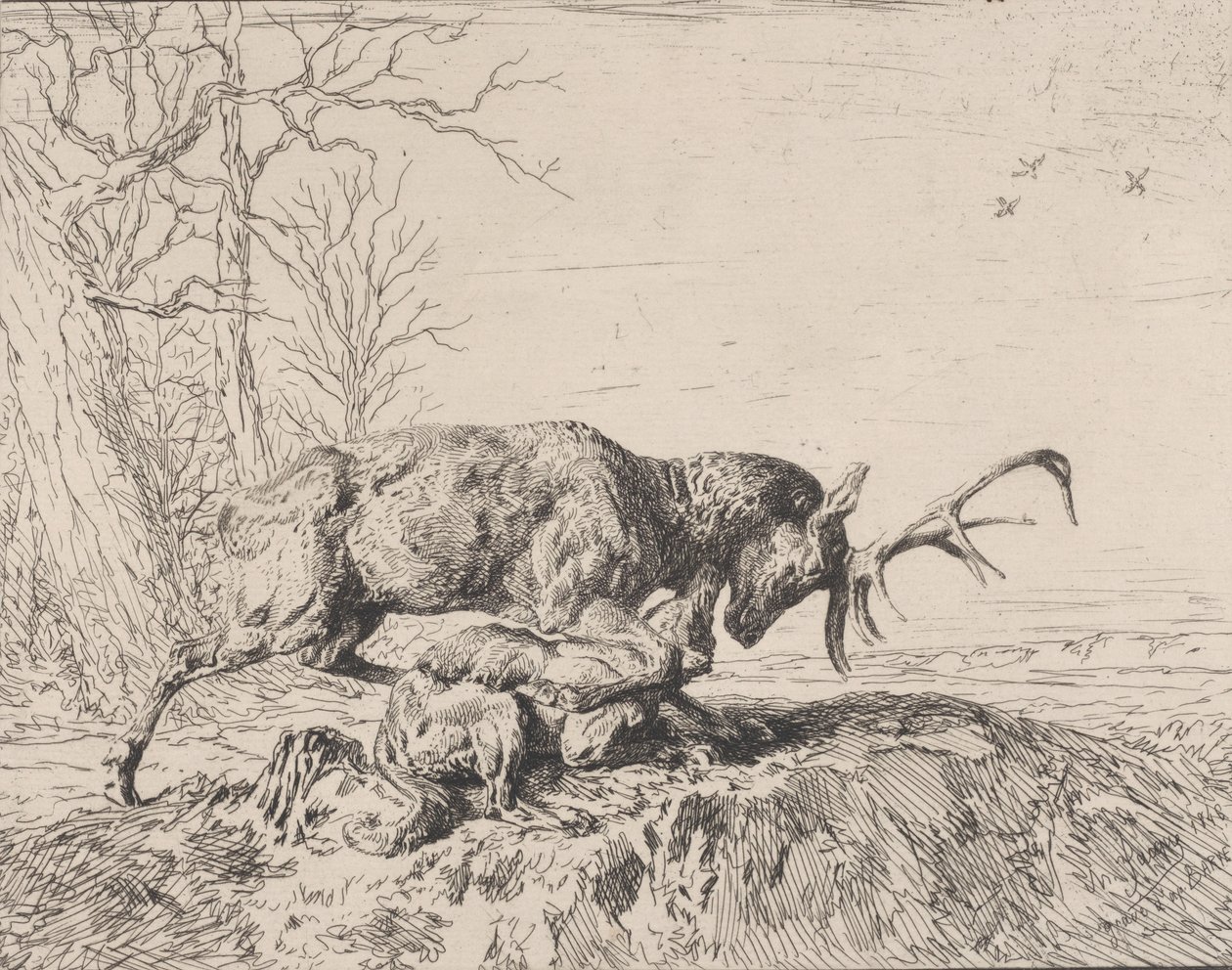 एंटोनी लुइस बैरी, 1846 के बाद स्टैग फाइटिंग ए वुल्फ। द्वारा चार्ल्स एमिले जेक