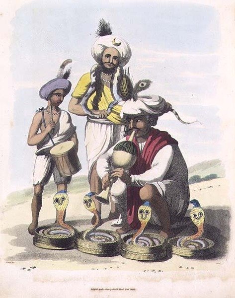 विलियम एलिस (1747-1810) पब द्वारा उकेरी गई 'ओरिएंटल ड्रॉइंग्स' की प्लेट 24, मनुपर गांव के पास स्नेक चार्मर्स। 1806 (एक्वाटिंट) द्वारा चार्ल्स एमिलियस (बाद में) सोना