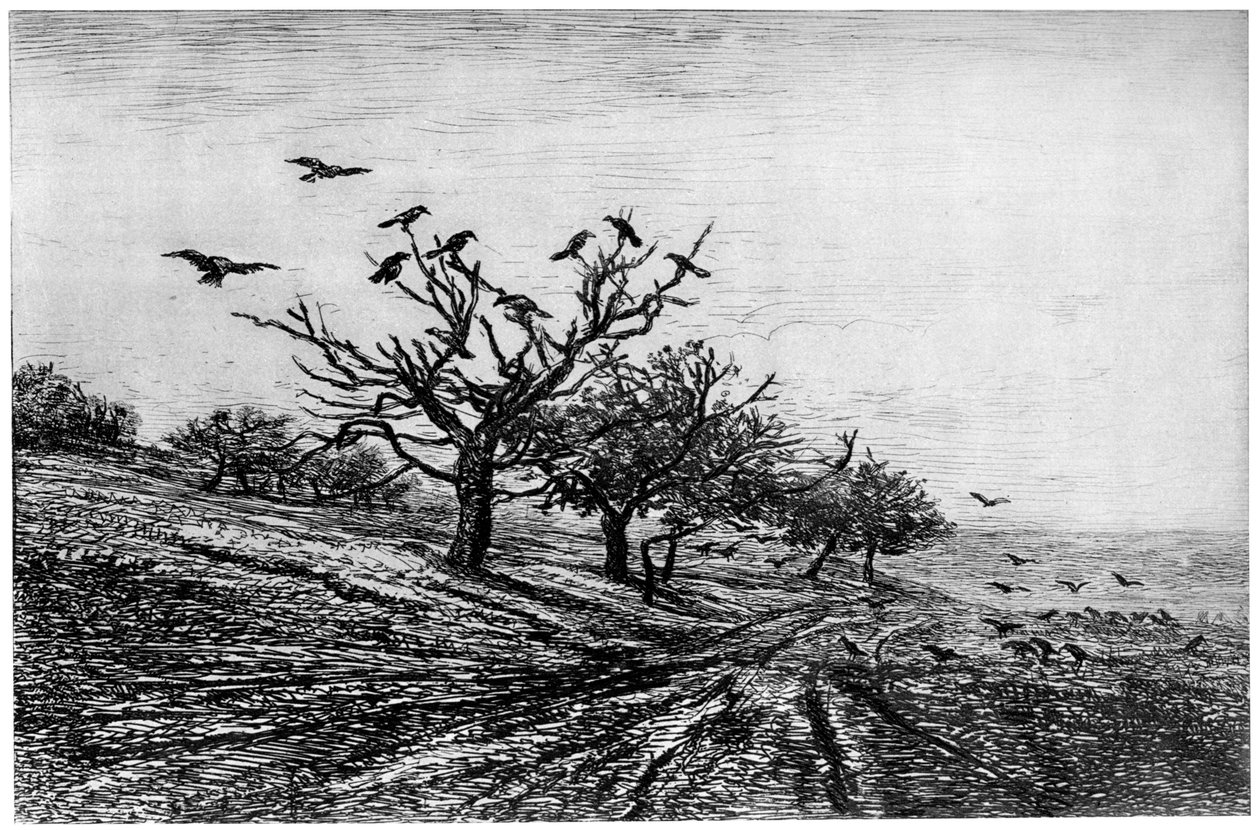 रेवेन ट्री, 1840-1875, 1924 द्वारा चार्ल्स फ्रेंकोइस डबगें