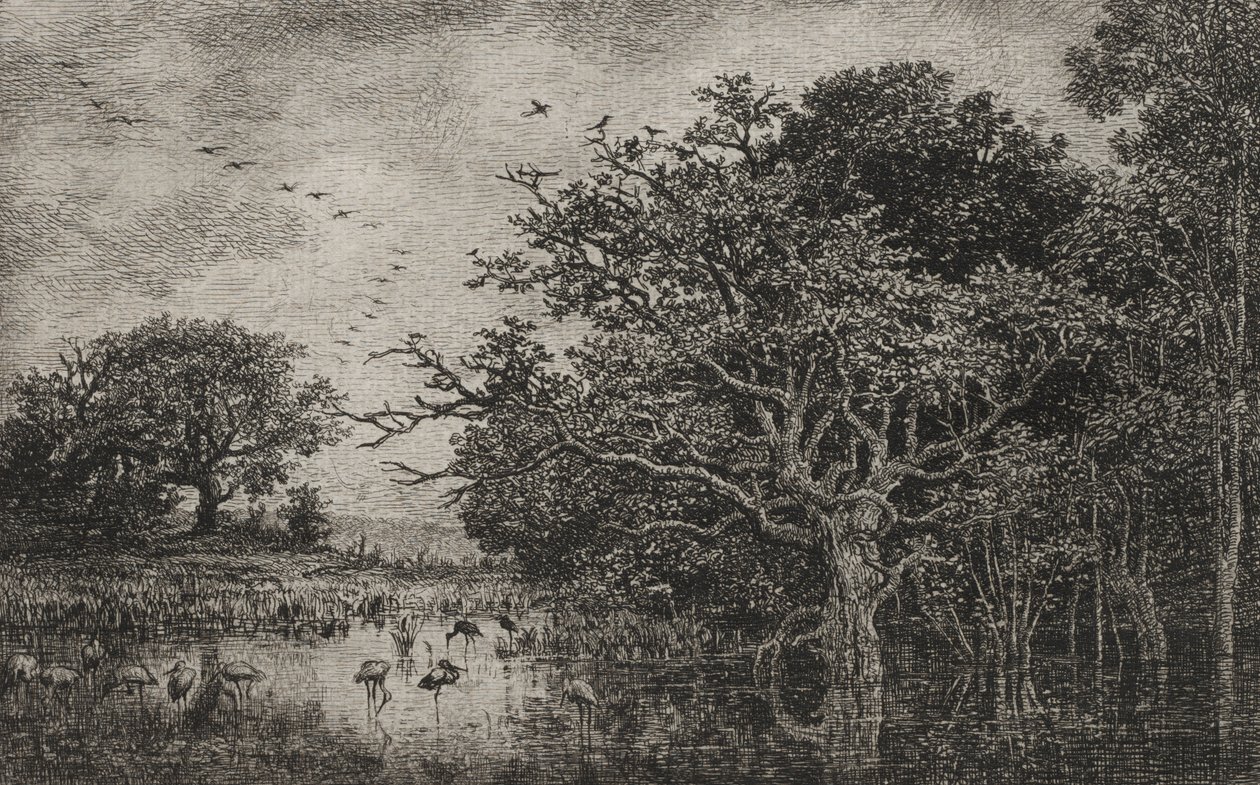 सारस के साथ मार्श द्वारा चार्ल्स फ्रेंकोइस डबगें
