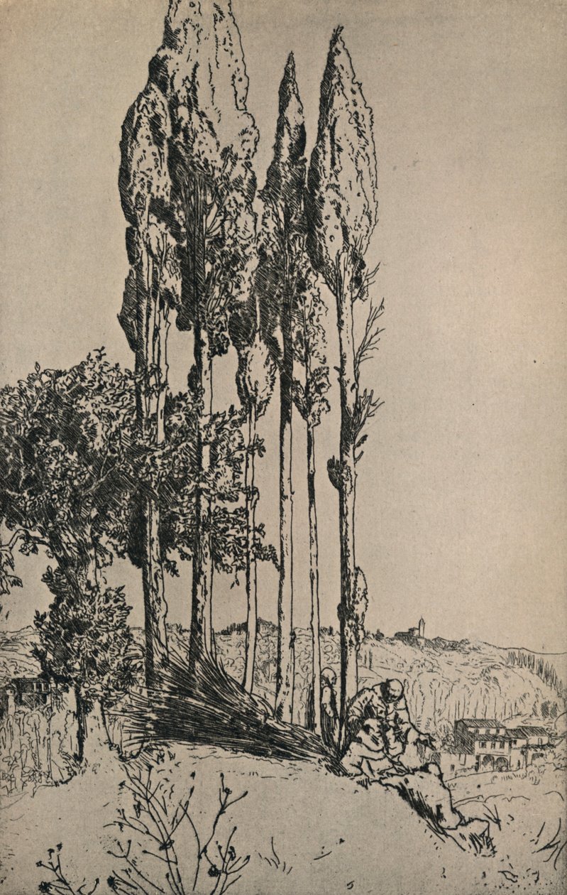 साइरस ट्रीज़ नियर सिएना, 1903 द्वारा चार्ल्स होरोलिड