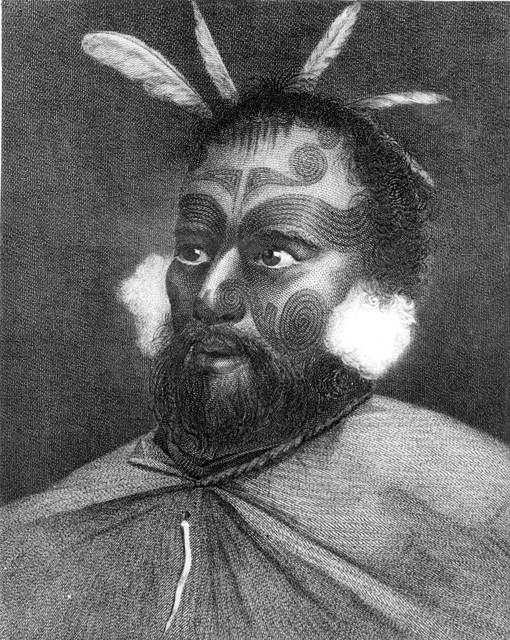 न्यूजीलैंड के एक आदमी का चित्रण, कैप्टन जेम्स कुक (1728-79) द्वारा &39;जर्नी राउंड द वर्ल्ड टू द साउथ पोल&39; का चित्रण द्वारा चार्ल्स हॉवर्ड हॉजेस