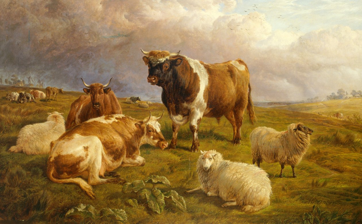  द्वारा चार्ल्स जोन्स