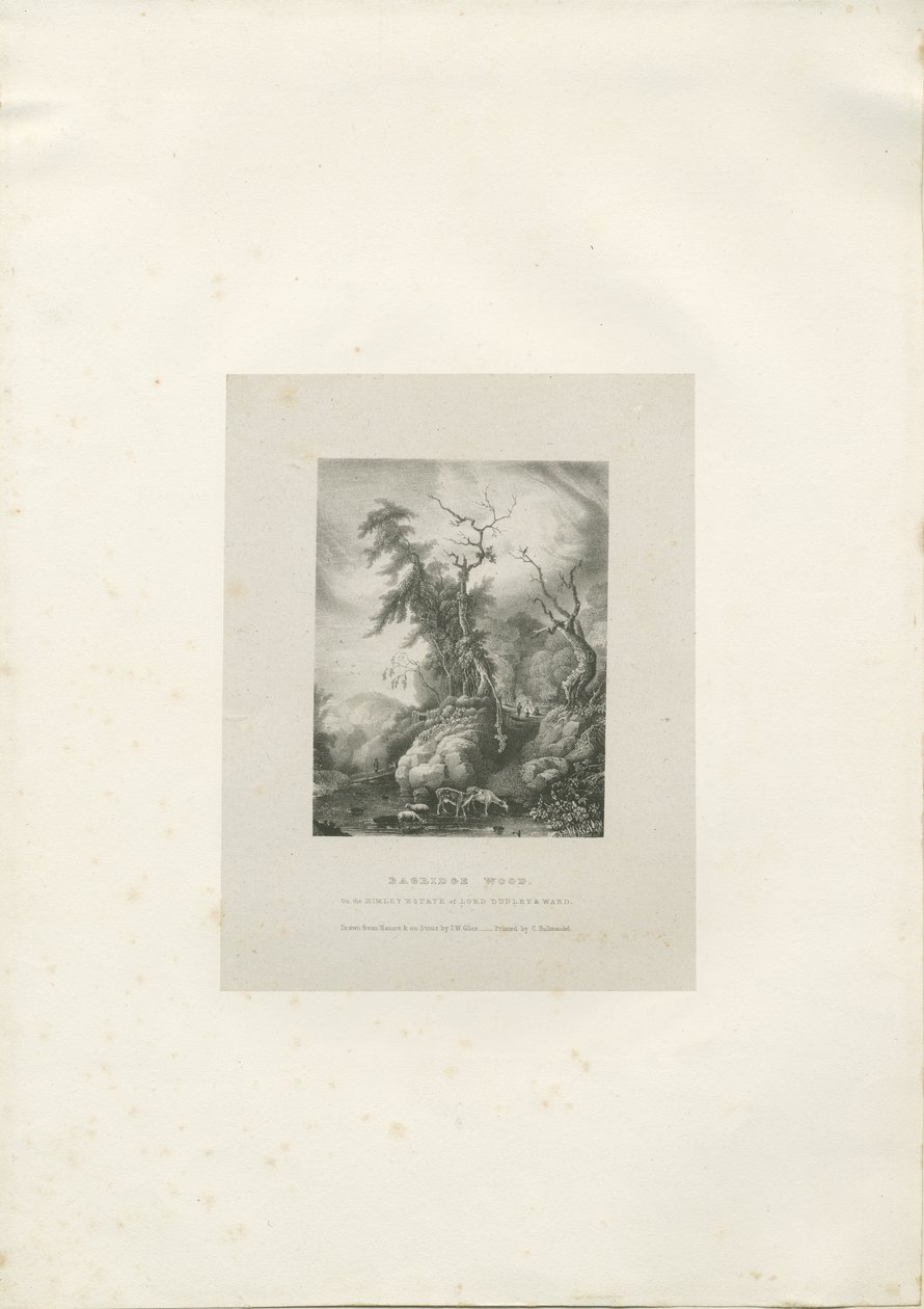 हिमले एस्टेट - &39;बैग्रिज वुड&39;: लिथोग्राफ, एनडी [1789-1850] (प्रिंट) द्वारा चार्ल्स जोसेफ हुलमंडेल