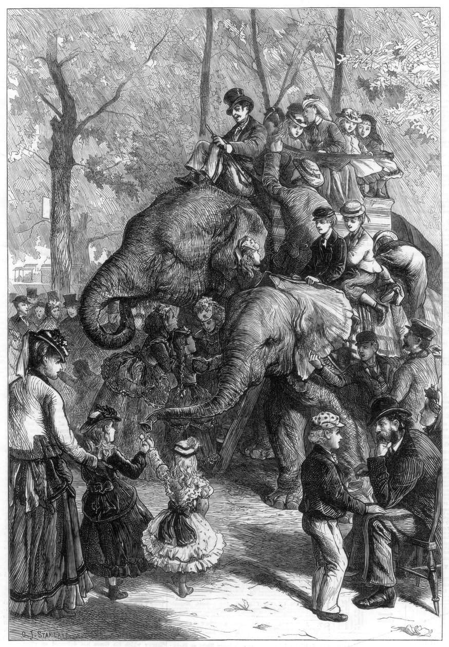 जूलॉजिकल सोसाइटीज़ गार्डन में सोमवार दोपहर, 1871। द्वारा चार्ल्स जोसेफ स्टैनलैंड