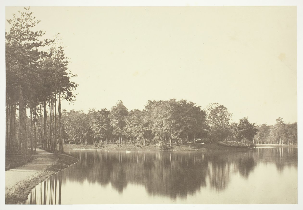 शीर्षक रहित, सी। 1850. [पेरिस के एक पार्क बोइस डी बोलोग्ने में पानी के पास पेड़]। द्वारा चार्ल्स मारविल