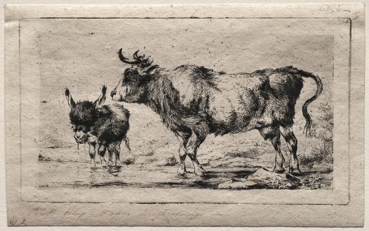 गाय और गधा, 1849। द्वारा चार्ल्स मेरियन