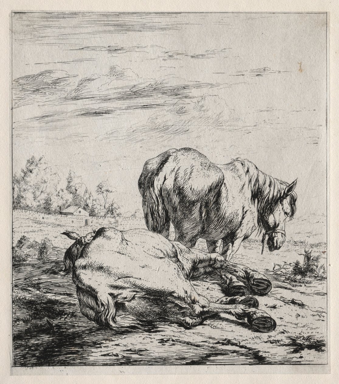 दो घोड़े, 1850। द्वारा चार्ल्स मेरियन