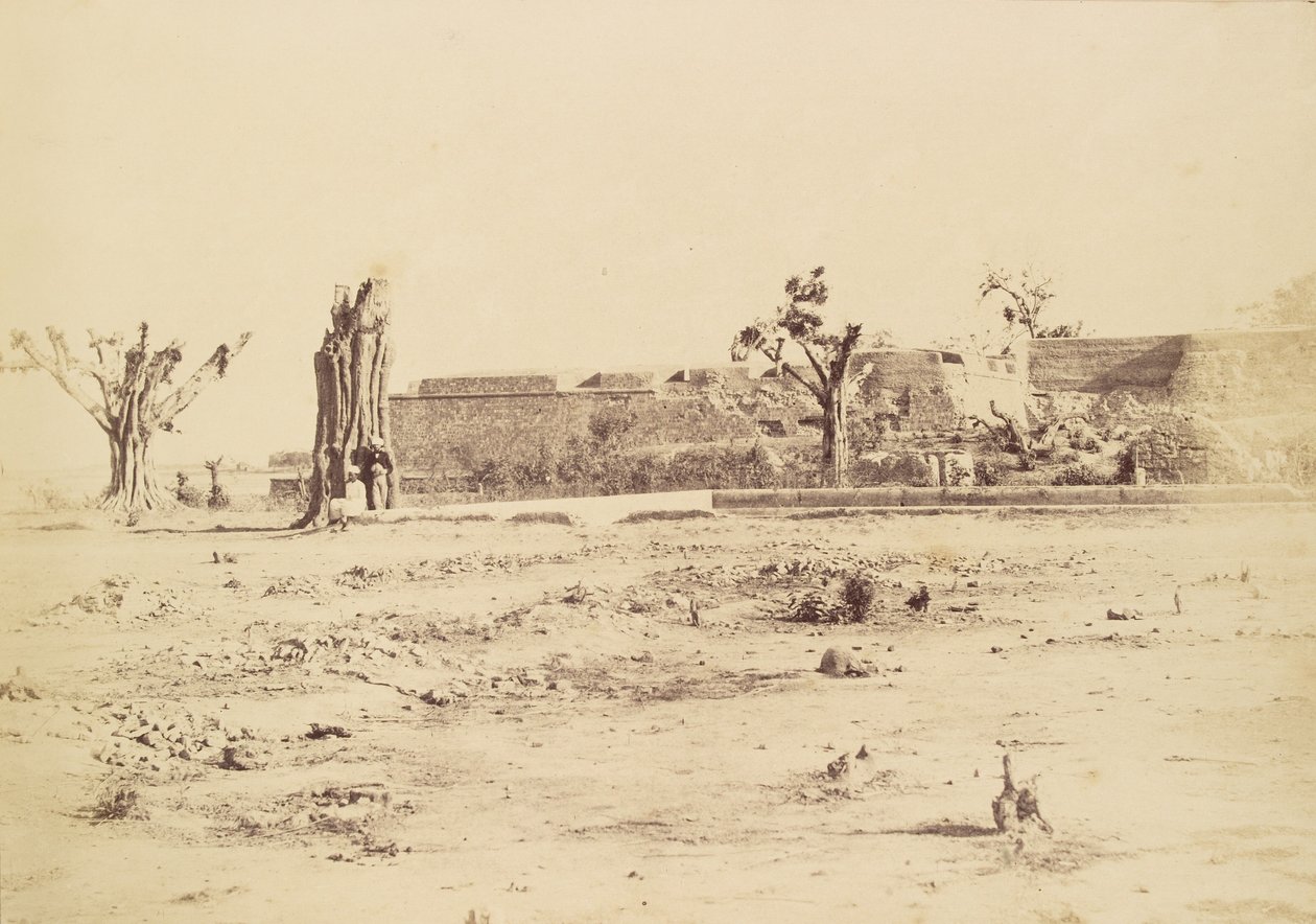 द्वारा चार्ल्स मोरविया