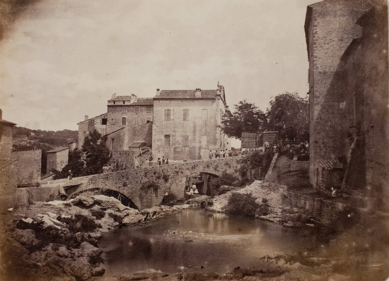 ग्रास, 1855। द्वारा चार्ल्स नेग्रे