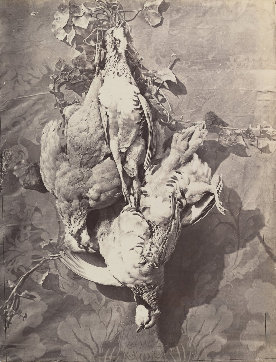 [स्टिल लाइफ विथ गेम बर्ड्स], 1859। द्वारा चार्ल्स नेग्रे