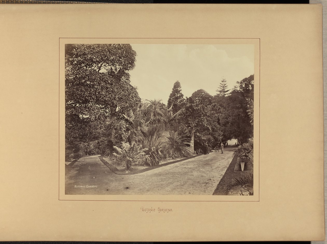  द्वारा चार्ल्स पर्सी पिकरिंग