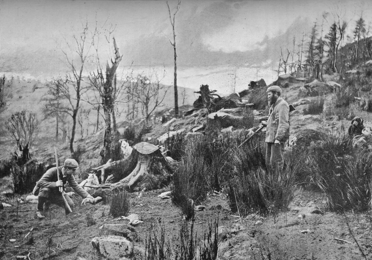 फेरेट में डालना, c1900, 1903 द्वारा चार्ल्स रीड