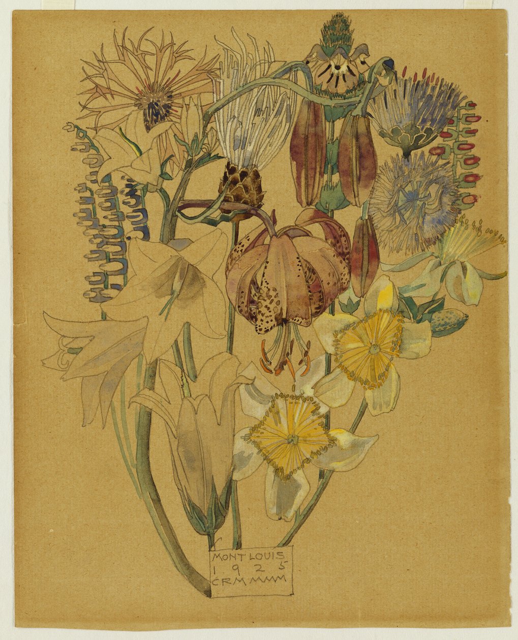 मोंट लुई - फूल अध्ययन, 1925 द्वारा चार्ल्स रेनी मैकिन्टोश