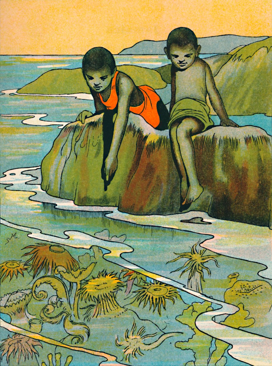 ए गार्डन इन द सी, 1912 द्वारा चार्ल्स रॉबिन्सन