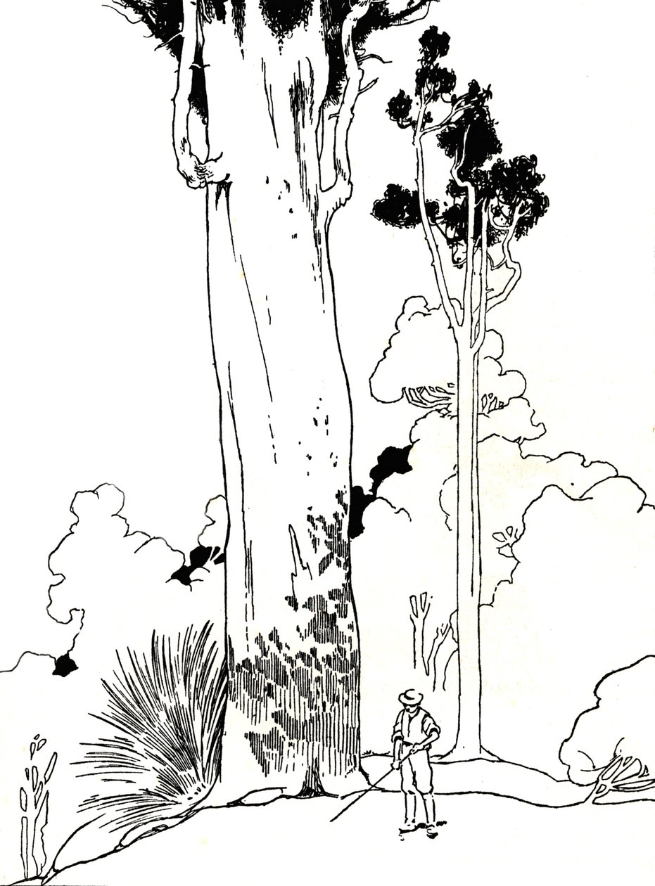 ए कौरी ट्री, 1912 द्वारा चार्ल्स रॉबिन्सन