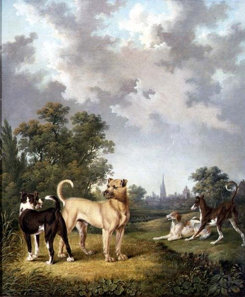 एक लैंडस्केप में कुत्ते, c.1820 (कैनवास पर तेल) द्वारा चार्ल्स टाउने