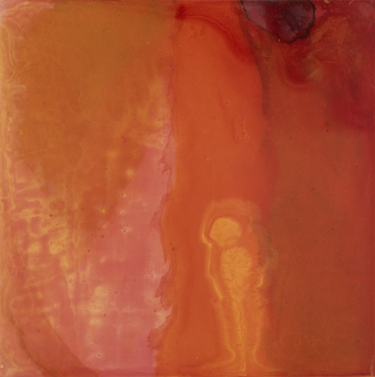 पनीर मछली, 1997 (गेसो बोर्ड पर तेल और शीशा) द्वारा शार्लेट जॉनस्टोन