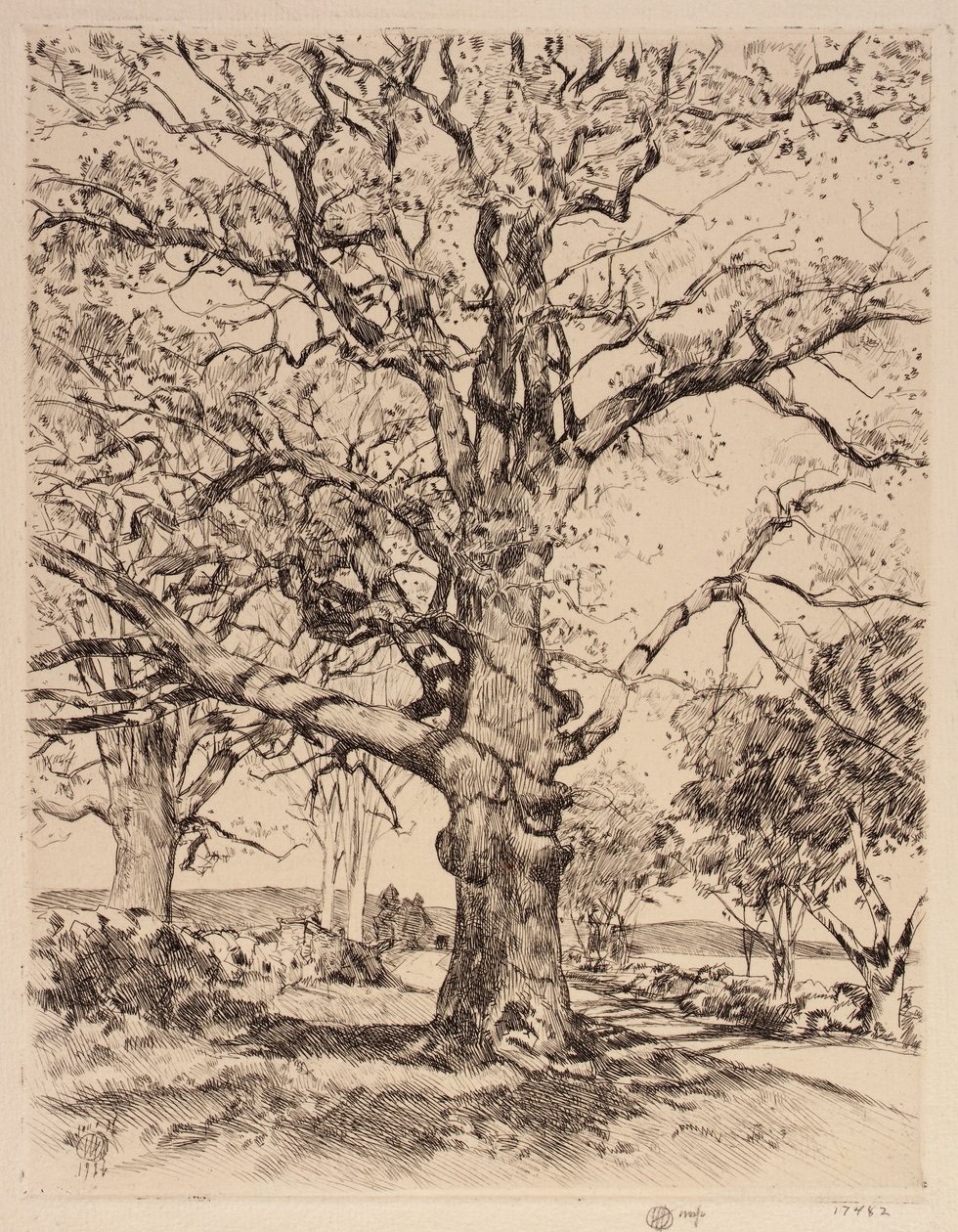  द्वारा बालक हसाम