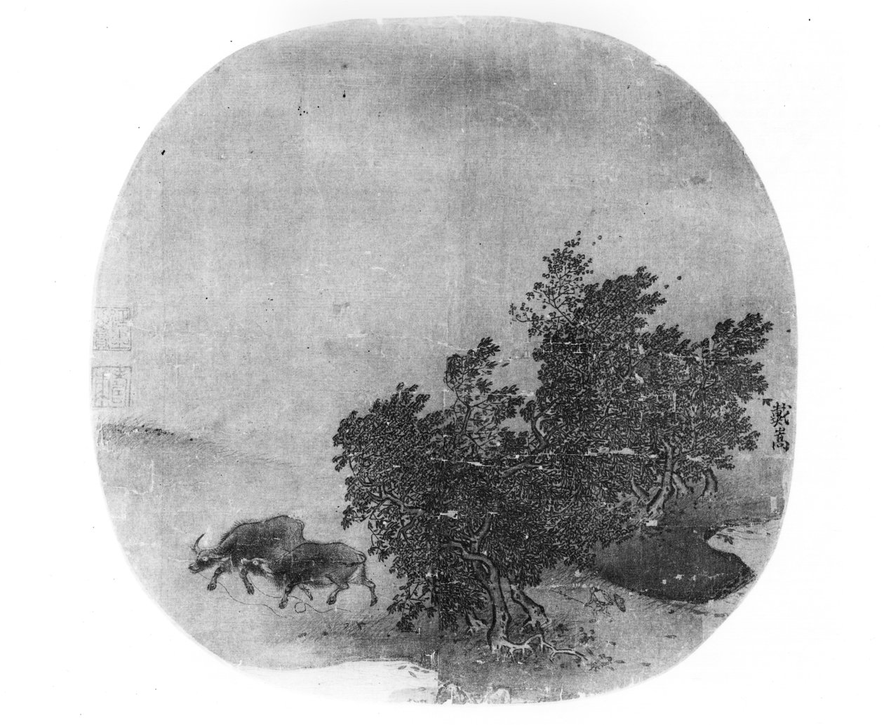 पानी भैंस के साथ लैंडस्केप, सांग वंश (960-1279) (चित्रित रेशम) द्वारा चीनी स्कूल