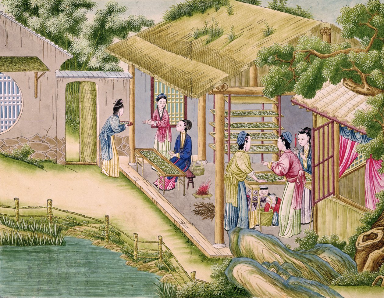 सुश्री 202 fol.2 रेशम उद्योग पर एक किताब से, रेशम के कीड़ों के बारे में सीखना द्वारा चीनी स्कूल