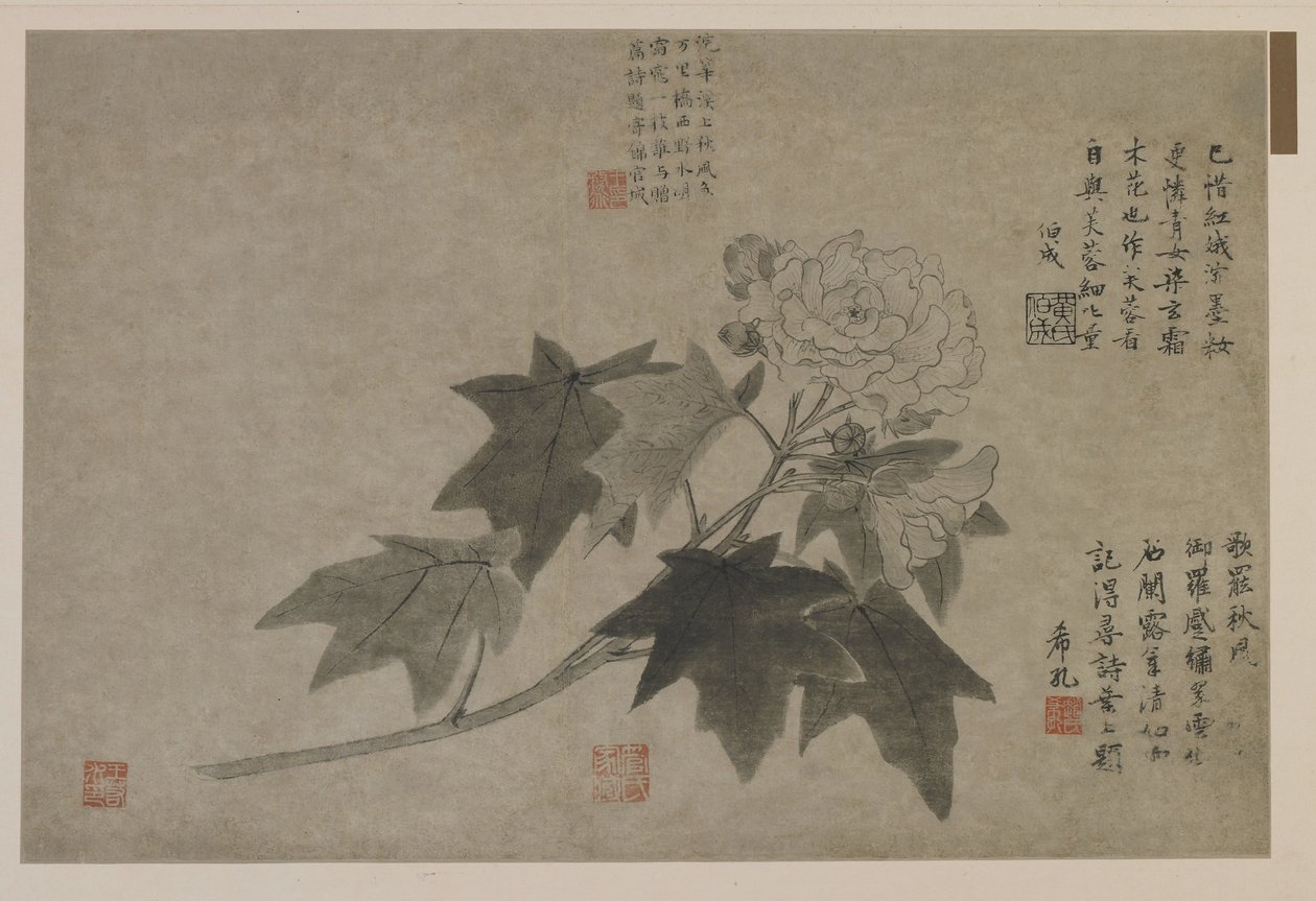 लकड़ी peony की एक शाखा, संभवतः किंग वंश (कागज पर स्याही) द्वारा चीनी स्कूल