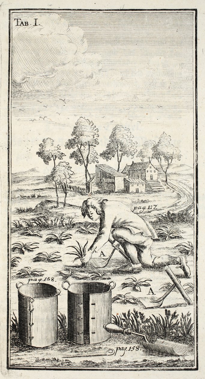 माली हार्वेस्टिंग, पब। थुरिंगिया में एरफ़र्ट, 1753-55 द्वारा क्रिश्चियन Reicharts