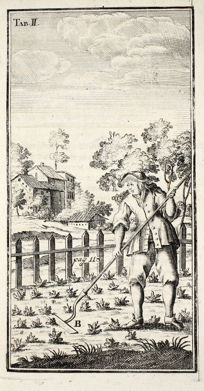 माली होइंग, पब। थुरिंगिया में एरफ़र्ट, 1753-55 द्वारा क्रिश्चियन Reicharts
