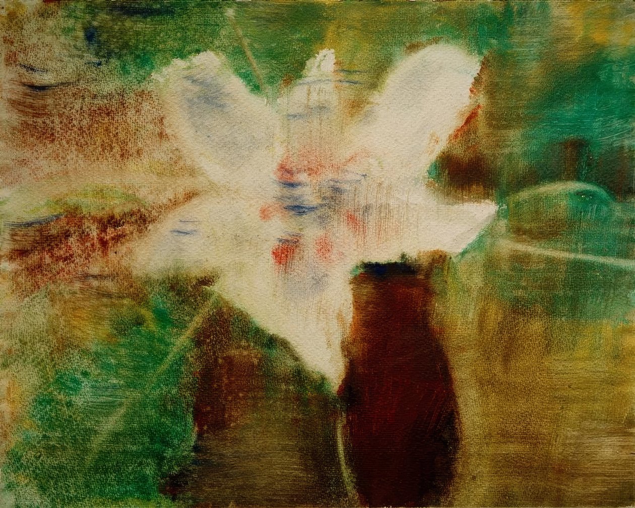Magnolienblüte द्वारा ईसाई रोहिंग्या