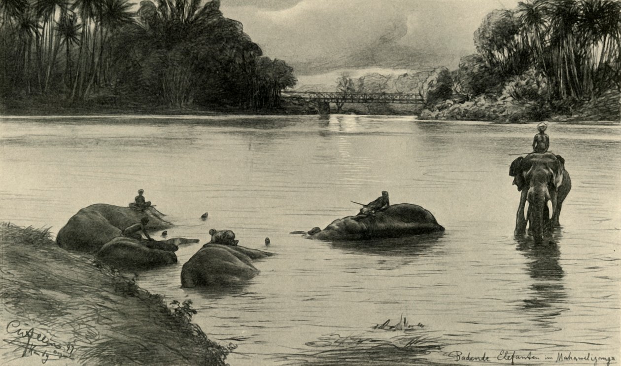 महावेली नदी, सीलोन, 1898 में हाथी स्नान करते हुए। द्वारा क्रिश्चियन विल्हेम एलर्स