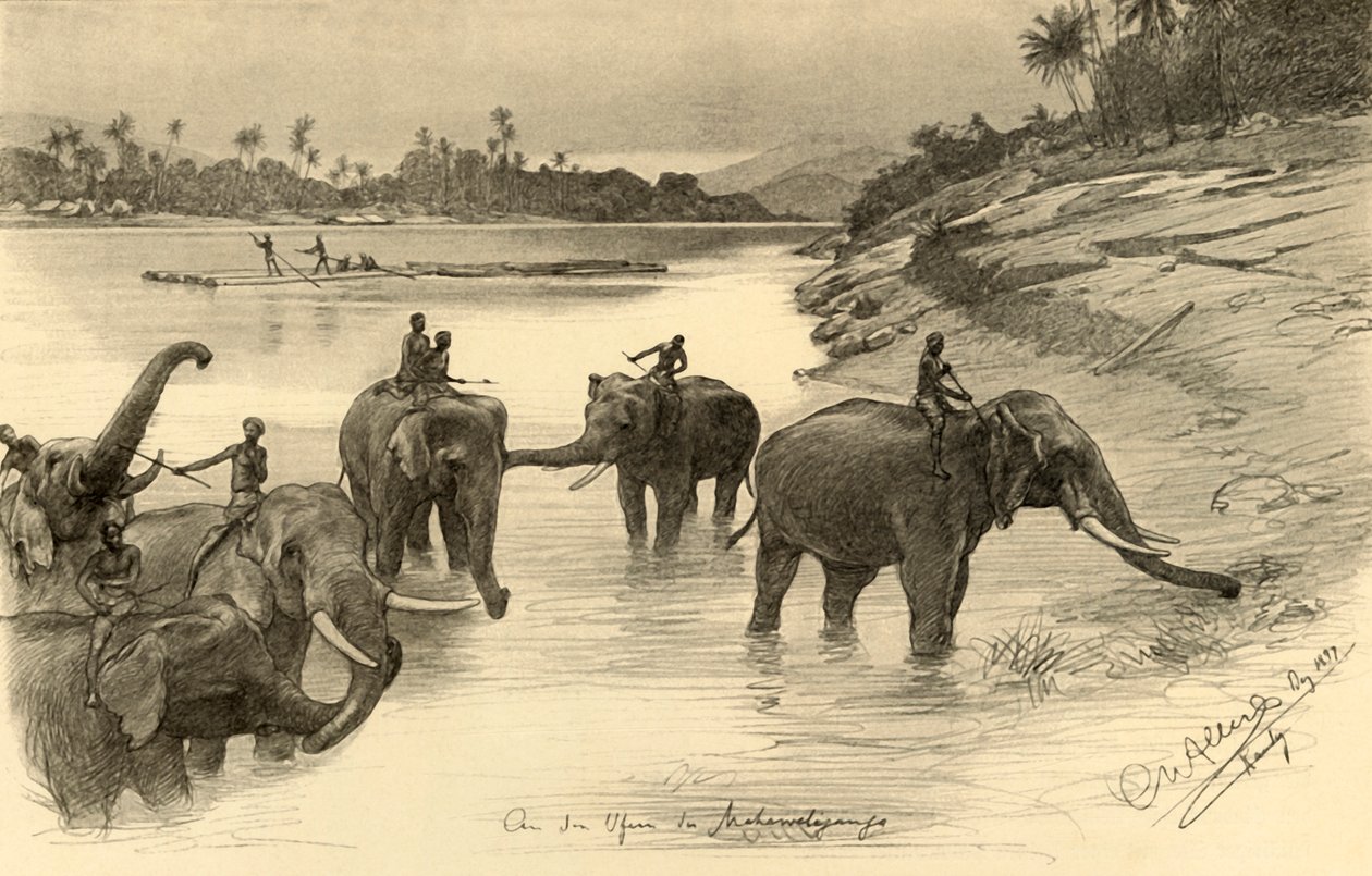 महावेली नदी, सीलोन, 1898 के तट पर हाथी। द्वारा क्रिश्चियन विल्हेम एलर्स