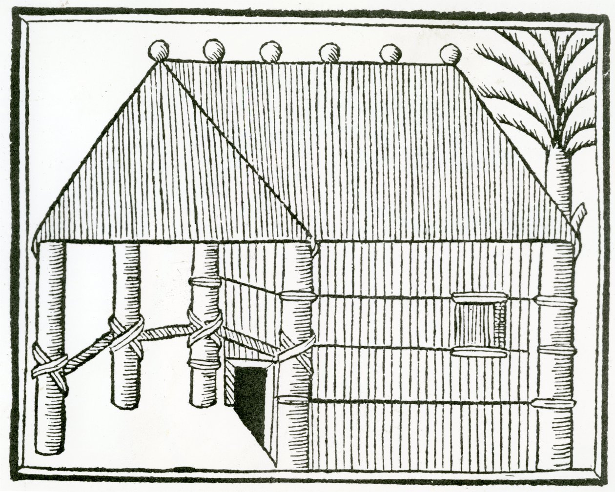 1547 के &39;जनरल हिस्ट्री ऑफ द इंडीज&39; से एक भारतीय आदत द्वारा क्रिस्टोफर कोलंबस