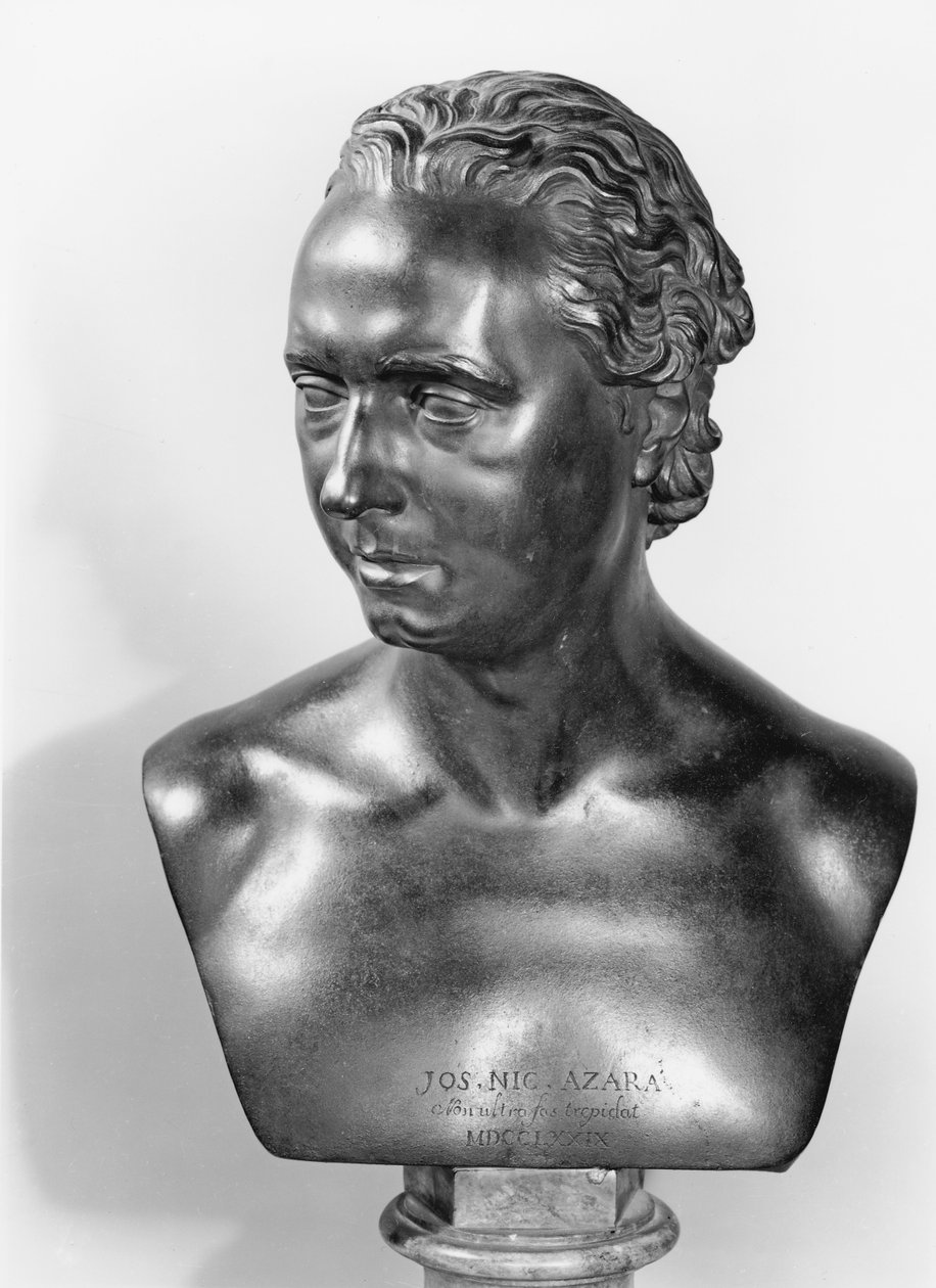 जोस निकोलस डी अज़ारा की हलचल (1731-1805) 1773 (कांस्य) (bw फोटो) द्वारा क्रिस्टोफर हेवेटसन
