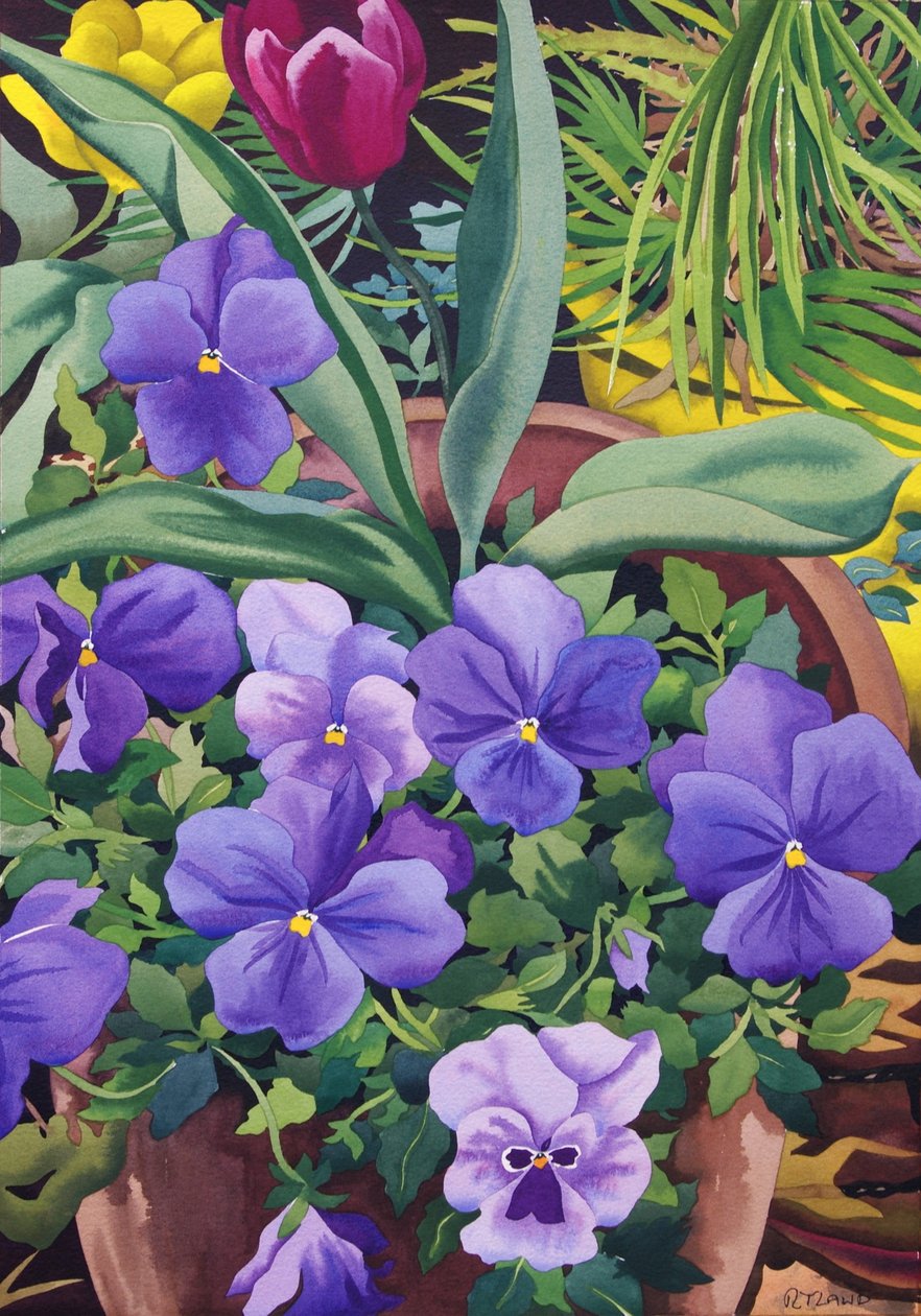 Pansies के साथ फ्लॉवरपोट्स, 2007 (कागज पर wc) द्वारा क्रिस्टोफर रायलैंड