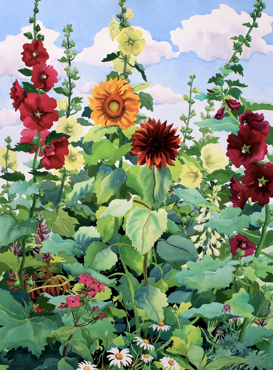 Hollyhocks और सूरजमुखी (कागज पर पानी के रंग) द्वारा क्रिस्टोफर रायलैंड